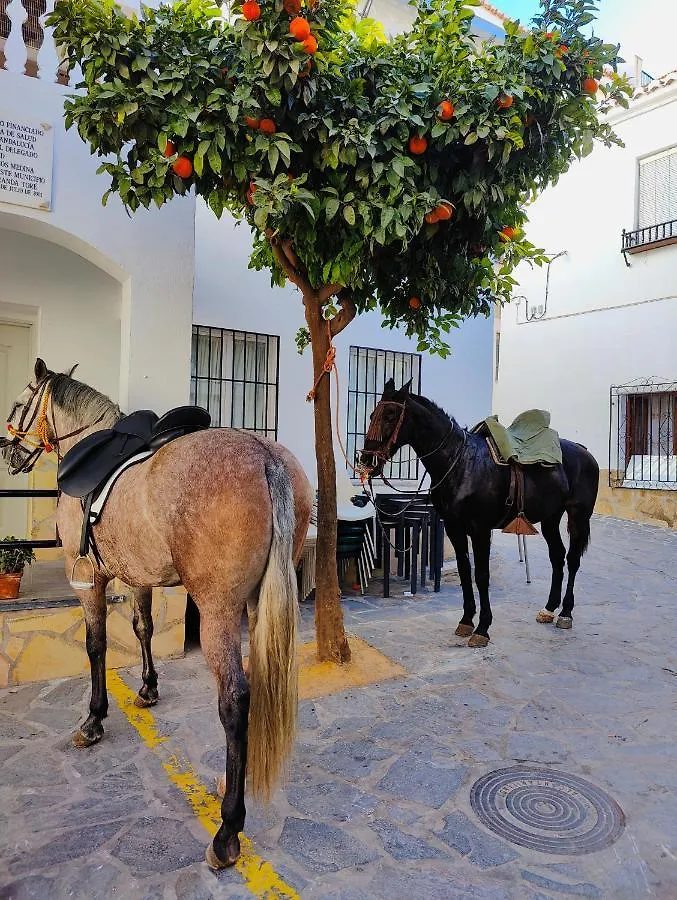 Modern, Bright And Comfortable Apartment With Shared Roof Terrace Canillas de Aceituno 0*,  España