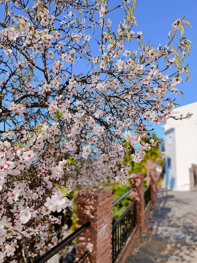 Modern, Bright And Comfortable Apartment With Shared Roof Terrace Canillas de Aceituno Ισπανία